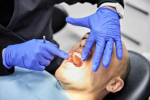 Best Mobile Emergency Dentist in Ridge Wood Heights, FL